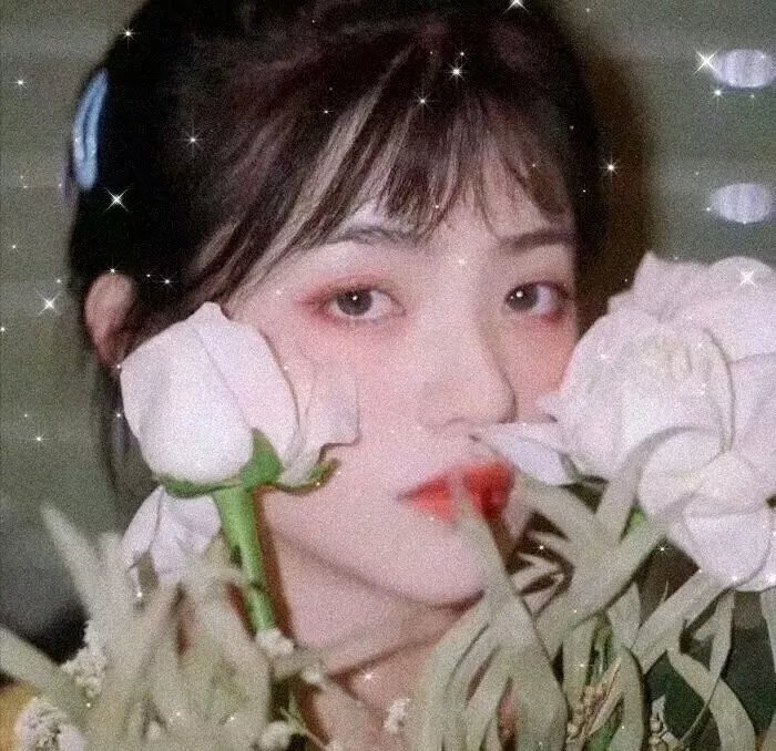 舞极限